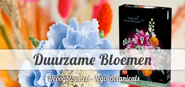 Duurzame Bloemen - Droogbloemen en LEGO Botanicals